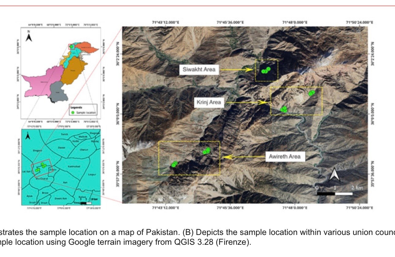 Chitral Mineralization Analysis